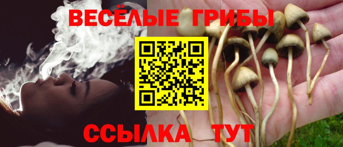 Россошь  Галлюциногенные грибы ЛСД  Галлюциногенные грибы Psilocybe  Вход с VPN 